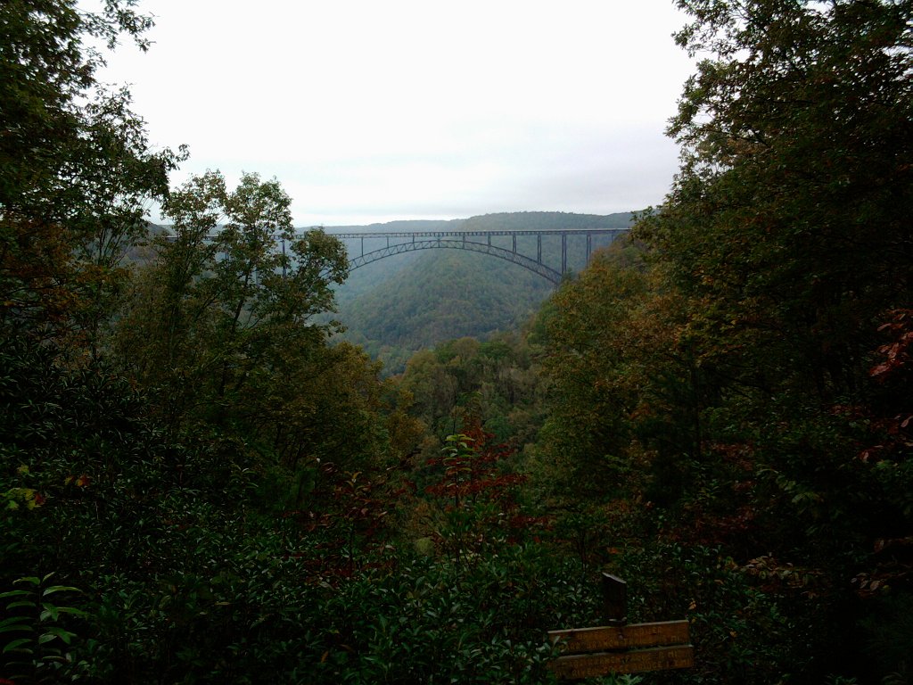 2010-10-03 11.34.34